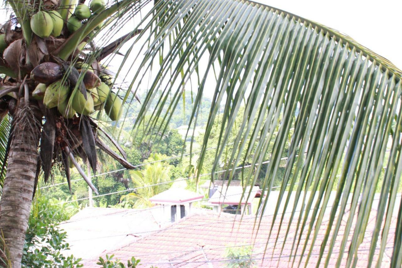 Resident View Homestay Kandy Eksteriør billede